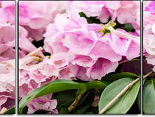 77 2.jpg