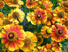 ���������.��������� 100