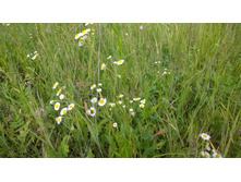 WP 20150701 13 58 45 Pro.jpg