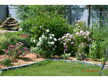 Heavenly Pink, ����� �����, ������, �������