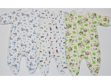 ���������� 1307-04