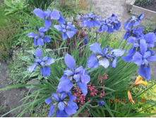 ���� ��������� ������ ������� -- 60 ���.