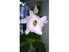 WP 20150721 18 43 21 Pro.jpg