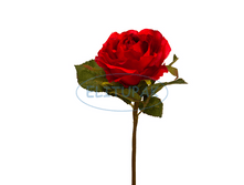 ��000323 ���� ��������� ����������� ���� ������� 27�� (24 �� � ���.)(Mbox 288 ��.) 185.60�.png