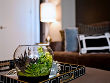 Florarium 042-650x433.jpg