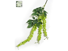 403/0239� - 270.00