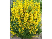 ��������� �������� 90