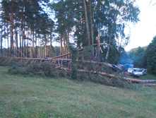 CIMG8155.JPG