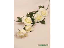 401/0203� - 144.00