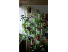 ����� ���� �����������