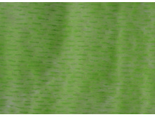 ���� � �������� ������ �� ������� 10� 50�� 371�.JPG