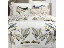 5558/3 ��� 2�� (Paradise) �(2)70*70 �(2)50�70 �� ����� �����