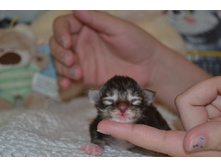 1 ������