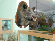 DSCN1407.JPG