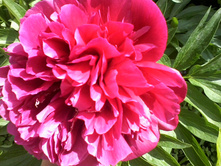 ����-0035.jpg