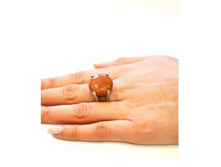 ������ � ������� ����������� 19 ������. 113 ���.