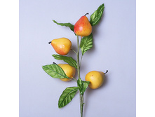 ����� �� ����� 5-625 283�.jpg