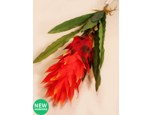 403/0005� - 506.00