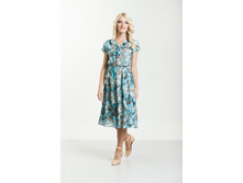 ������ 12113