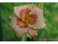 �������� ����� �������� 180�