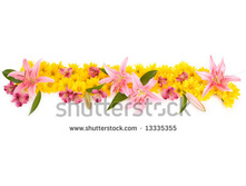 Stock-photo-floral-panorama-13335355.jpg