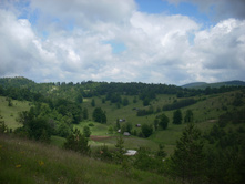 � �������� ����