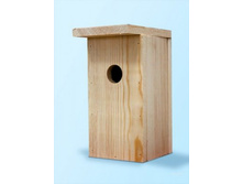 ����� ��� ������ �����������.jpg