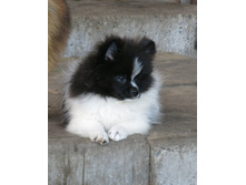 ������� ������ 025.JPG