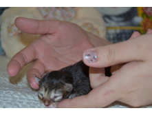 1 ������