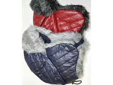 ��������� � ��������