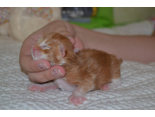 1 ������