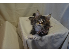 2 ������