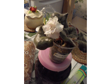 ������ �������.jpg