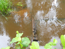 DSCN1314.JPG