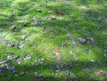 DSCN1455.JPG