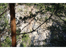 DSC 0484� (10).JPG