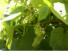 ����-0038.jpg