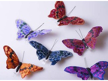 ������� 12�� 370�.jpg