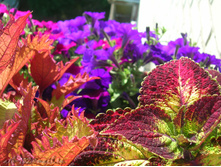 DSCN2736.JPG
