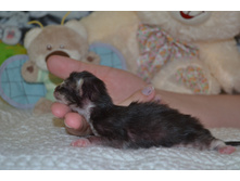 1 ������