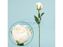 ��000050 ���� ������� ����� 56 �� (24 �� � ���.)(Mbox 288 ��.) 88�.png