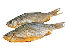 ����� ������� �������  ���������.jpg