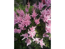 IMG 20150719 144914.jpg