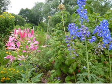 P1040057.JPG �������� ��������� �����.