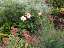 � �������.jpg