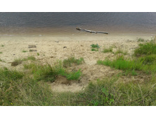 20150701 150604.jpg