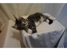 2 ������