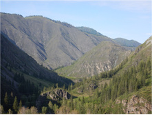 DSCN0915.jpg