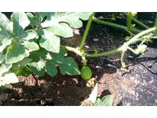 IMG 20150715 140804.jpg