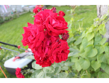 IMG 0006.JPG